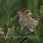 Avatar of Nadeem Shah